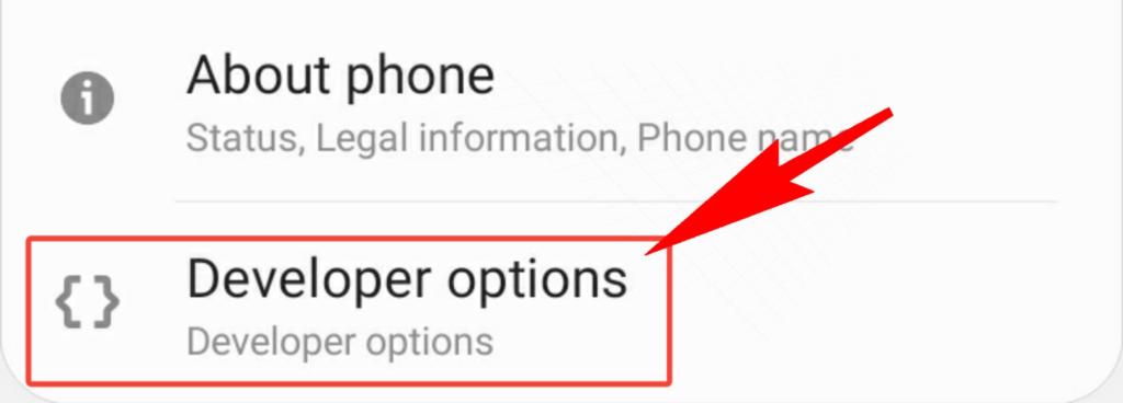 developer-option-in-settings-menu.png